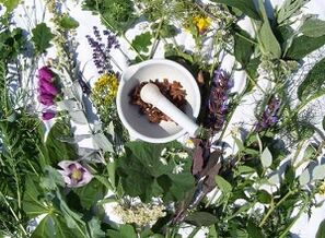 Maitsetaimed osteokondroosi raviks